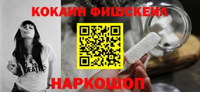 индика Нягань