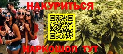 индика Нягань